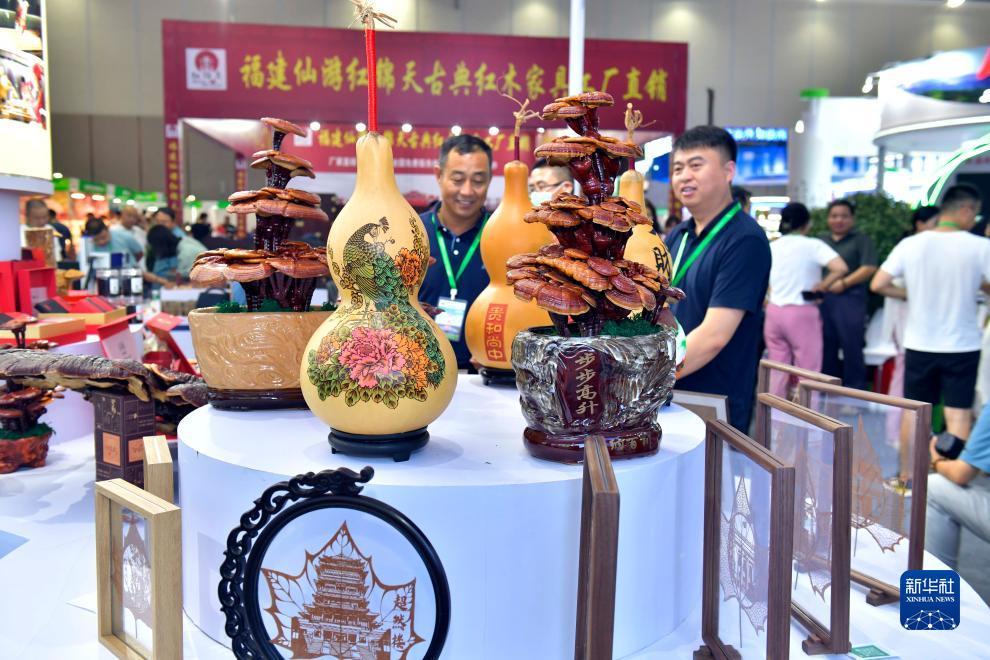 梦幻国际网址登陆地址